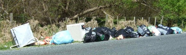 People creating unsightly, unhealthy messes like this will find it costly under a new scale of instant fines introduced by Kaipara District Council. 